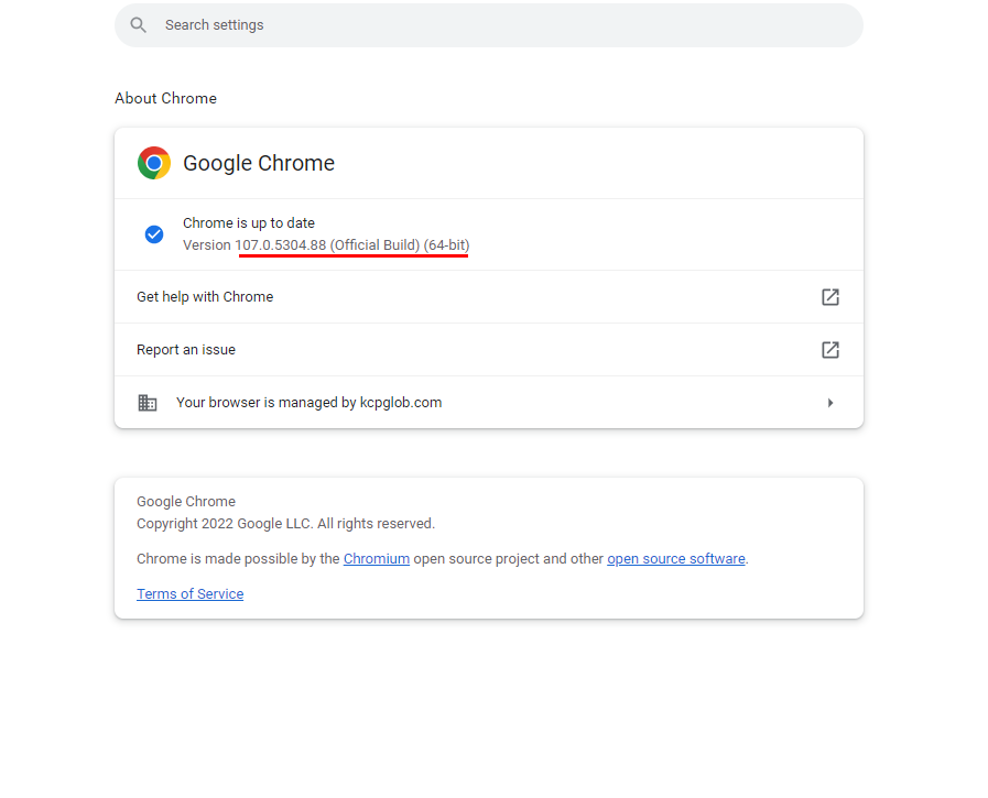 google chrome browser 2022