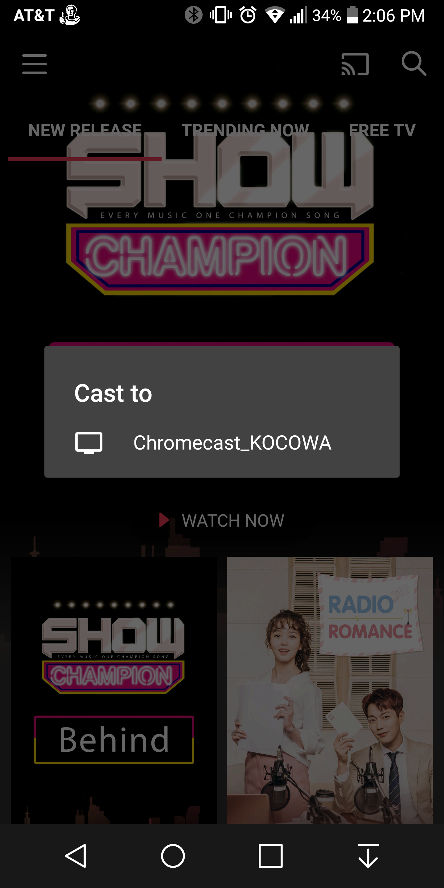 chromecast_guideline_02.png